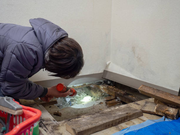 Best Post-Remediation Verification Testing  in Alanuk, AK