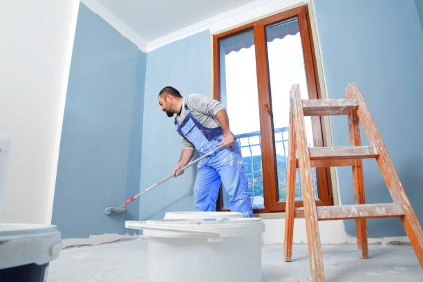Reliable Alakanuk, AK Mold Removal Solutions