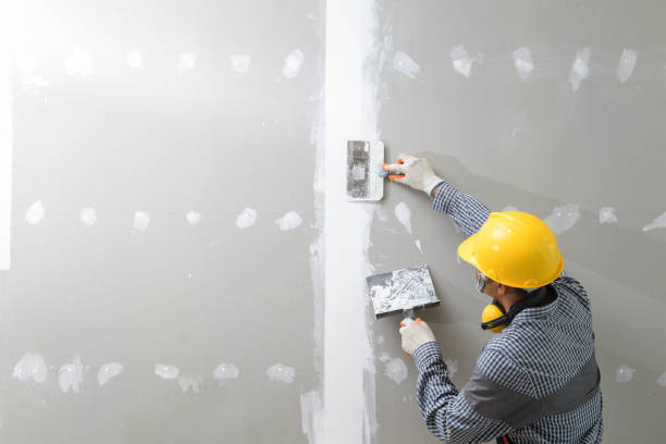 Best Basement Mold Removal  in Alanuk, AK