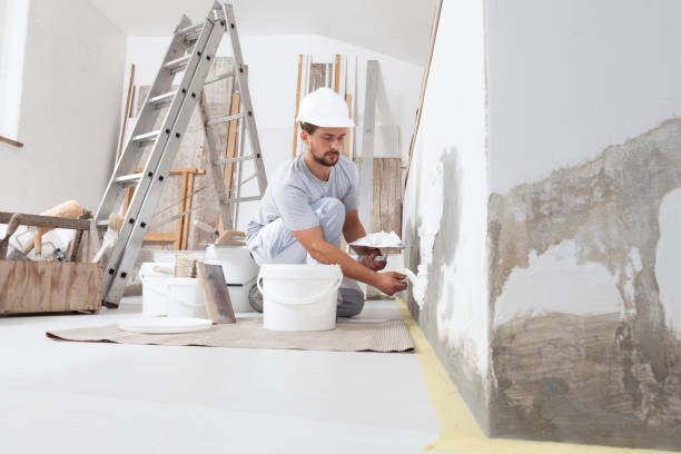 Best Mold Remediation for Healthcare Facilities  in Alanuk, AK