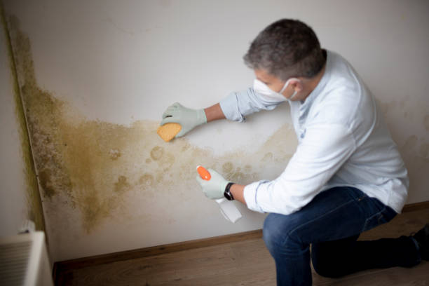 Best Dehumidification Services  in Alanuk, AK