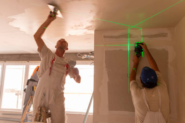 Best Industrial Mold Remediation  in Alanuk, AK