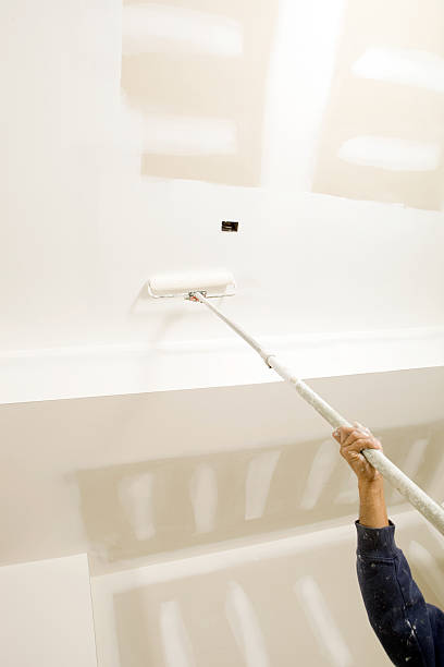 Best Attic Mold Removal  in Alanuk, AK