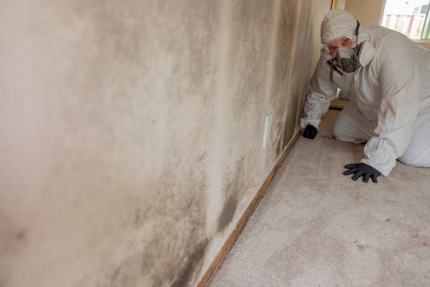 Best Mold Removal for HVAC Installations  in Alanuk, AK